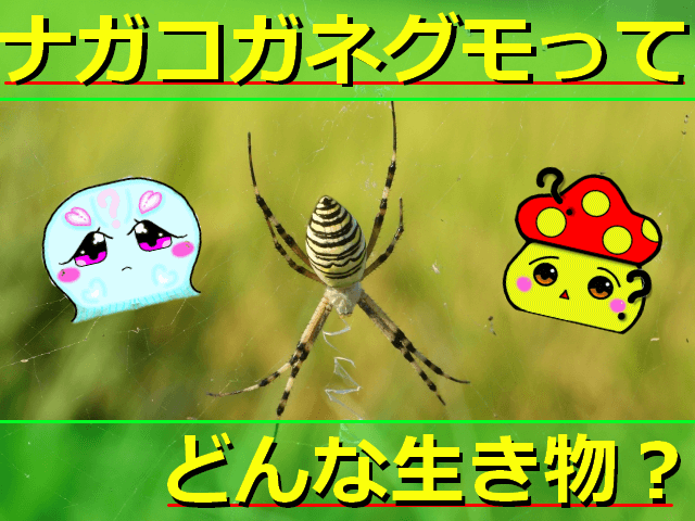 Thumbnail of post image 121